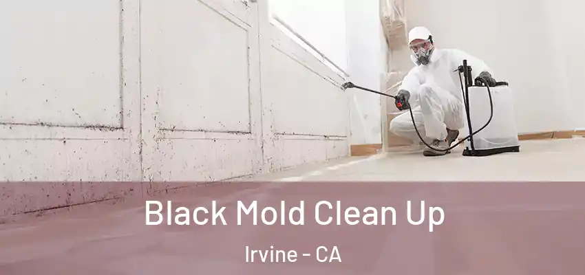 Black Mold Clean Up Irvine - CA