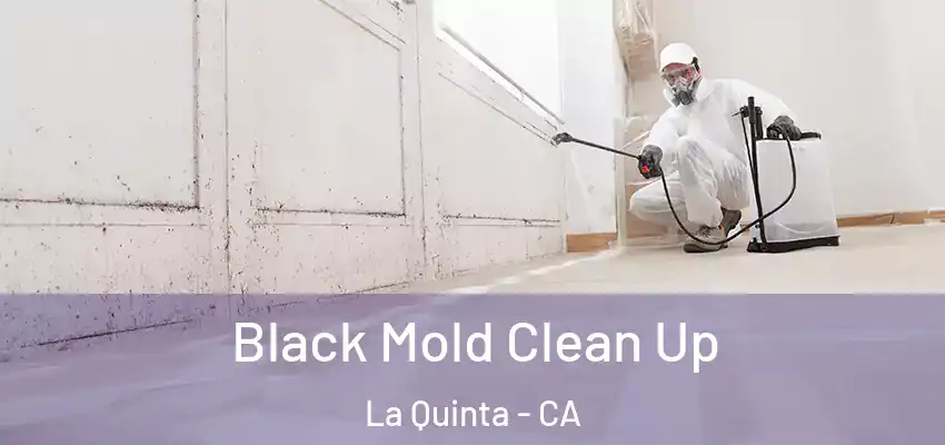  Black Mold Clean Up La Quinta - CA