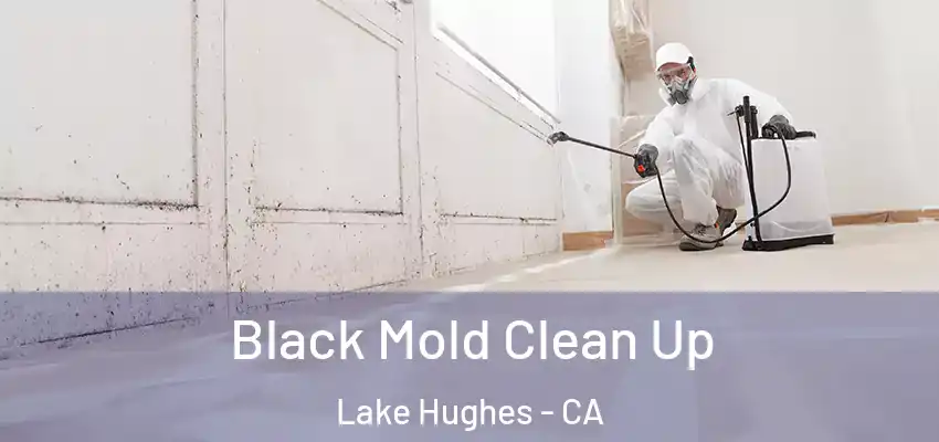  Black Mold Clean Up Lake Hughes - CA