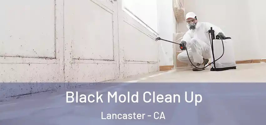  Black Mold Clean Up Lancaster - CA