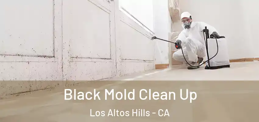  Black Mold Clean Up Los Altos Hills - CA