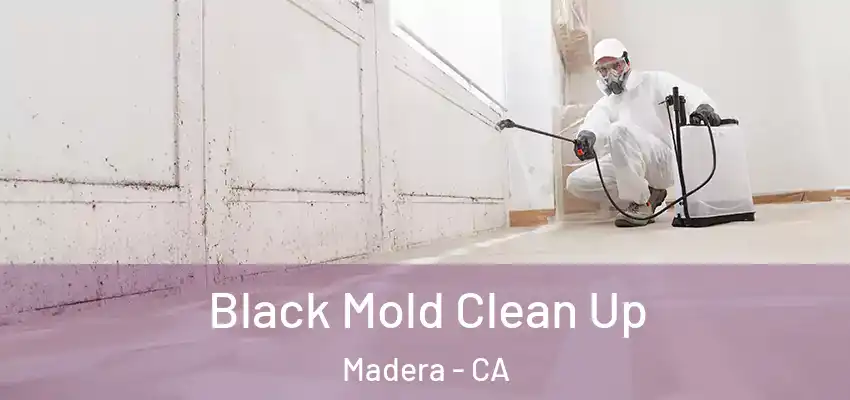 Black Mold Clean Up Madera - CA