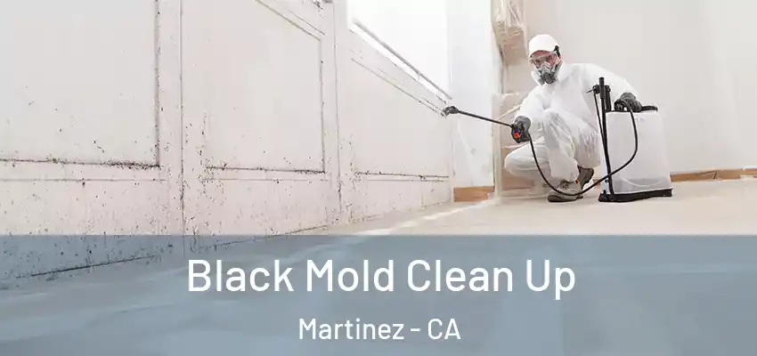 Black Mold Clean Up Martinez - CA