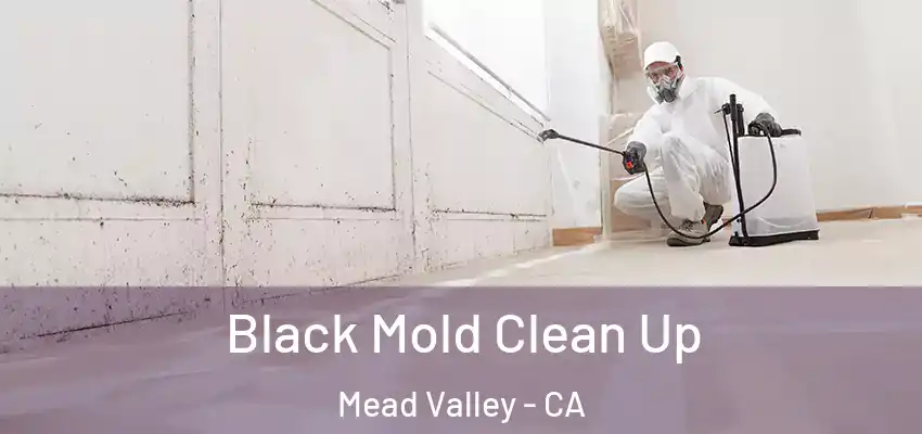  Black Mold Clean Up Mead Valley - CA