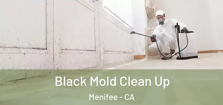 Black Mold Clean Up Menifee - CA