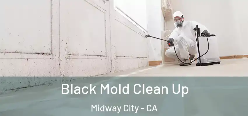  Black Mold Clean Up Midway City - CA