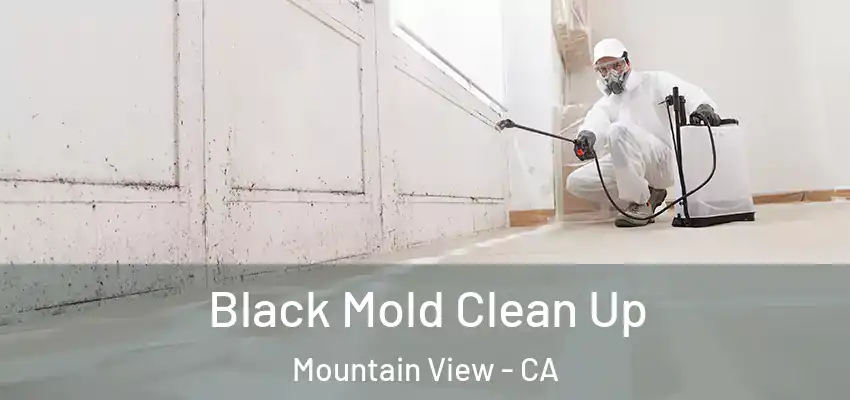 Black Mold Clean Up Mountain View - CA