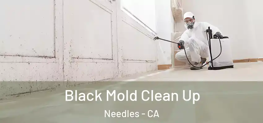  Black Mold Clean Up Needles - CA