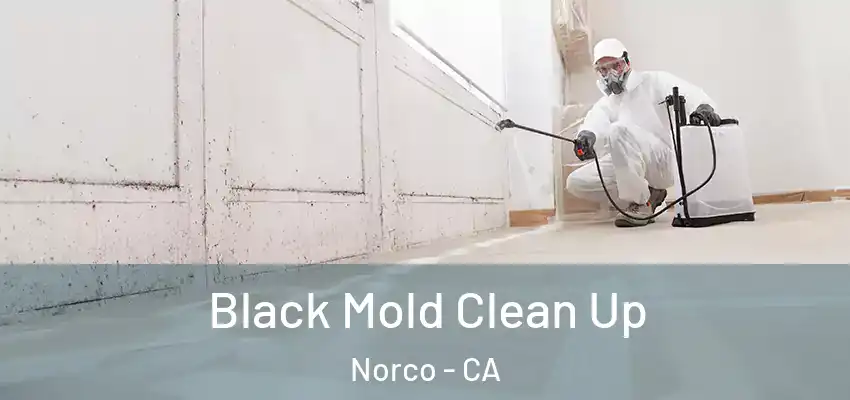 Black Mold Clean Up Norco - CA