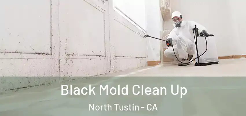  Black Mold Clean Up North Tustin - CA