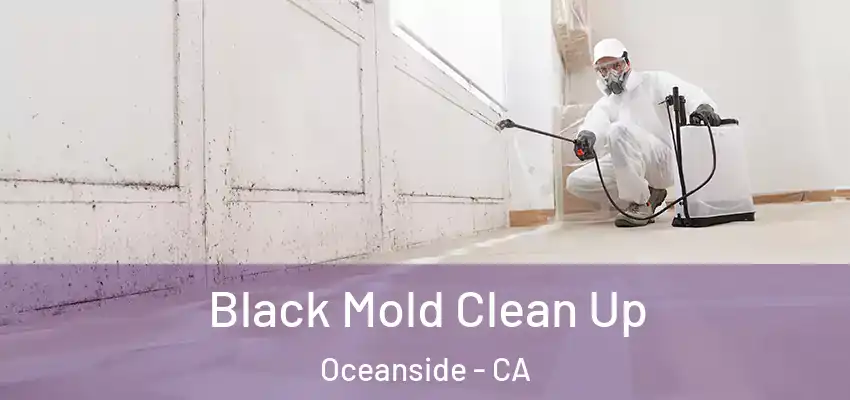 Black Mold Clean Up Oceanside - CA