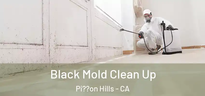  Black Mold Clean Up Pi??on Hills - CA