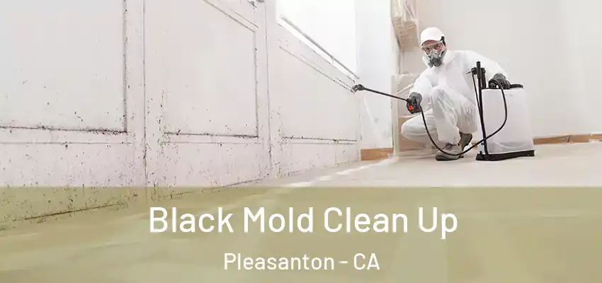  Black Mold Clean Up Pleasanton - CA