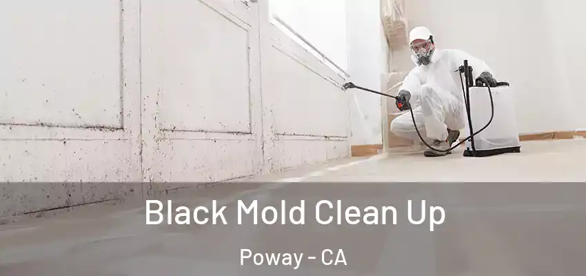  Black Mold Clean Up Poway - CA