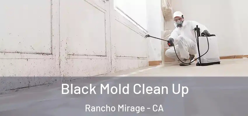  Black Mold Clean Up Rancho Mirage - CA