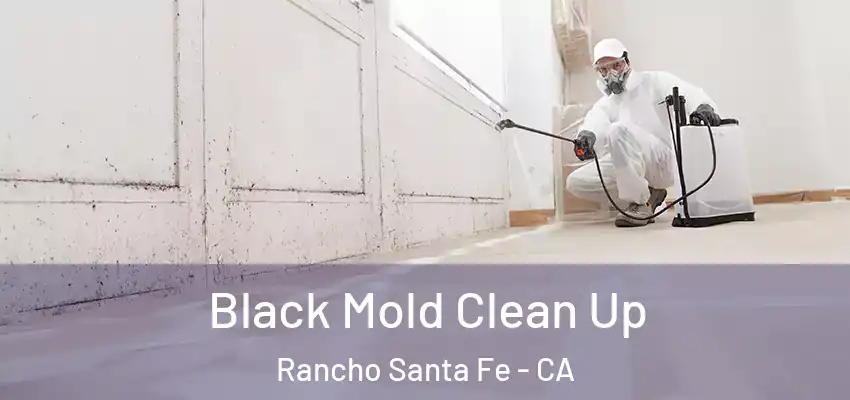  Black Mold Clean Up Rancho Santa Fe - CA