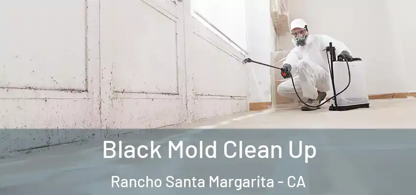  Black Mold Clean Up Rancho Santa Margarita - CA