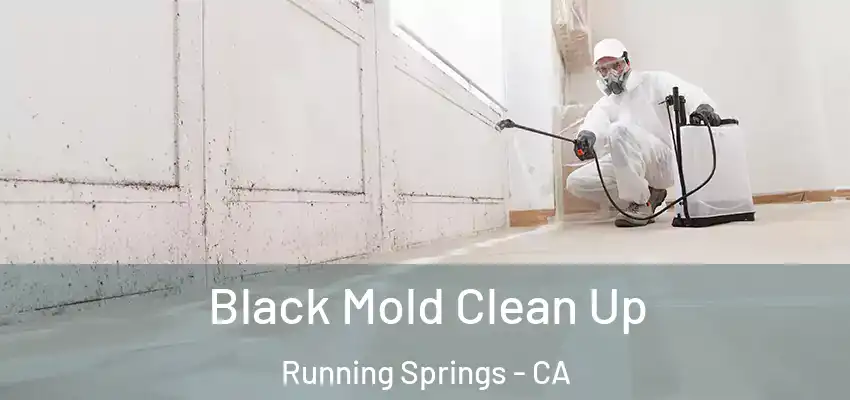  Black Mold Clean Up Running Springs - CA