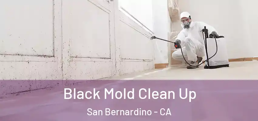 Black Mold Clean Up San Bernardino - CA