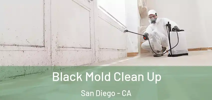  Black Mold Clean Up San Diego - CA