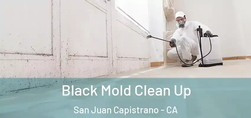  Black Mold Clean Up San Juan Capistrano - CA
