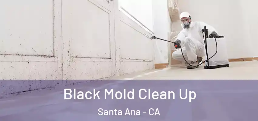  Black Mold Clean Up Santa Ana - CA