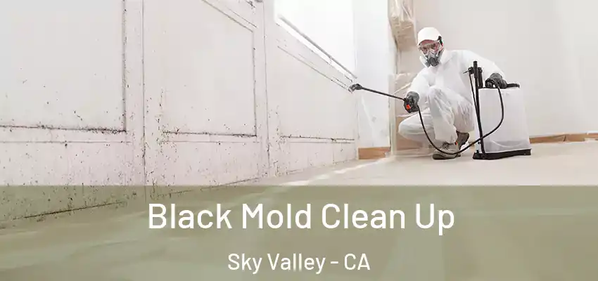  Black Mold Clean Up Sky Valley - CA