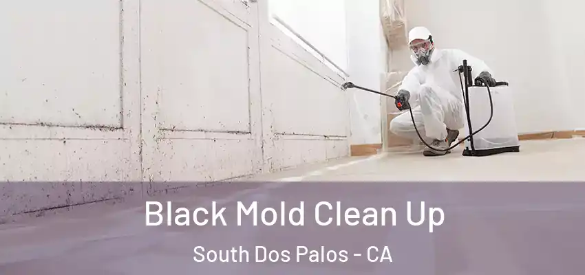  Black Mold Clean Up South Dos Palos - CA
