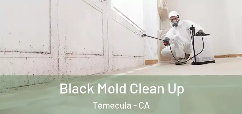  Black Mold Clean Up Temecula - CA