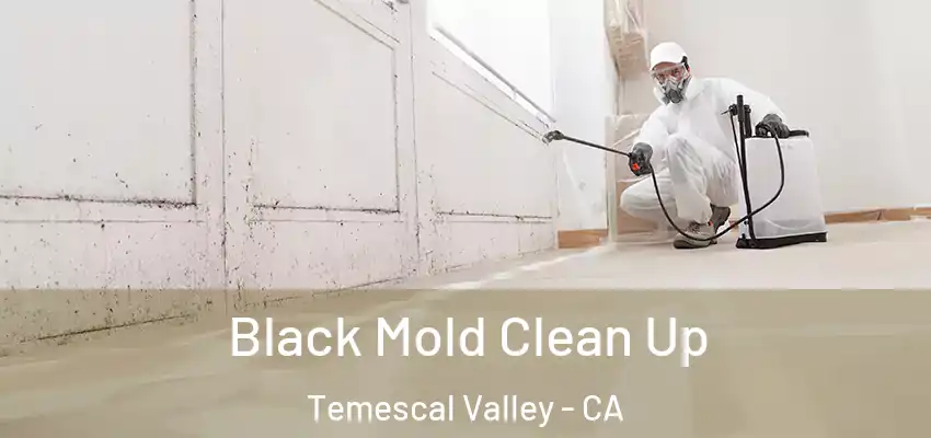  Black Mold Clean Up Temescal Valley - CA