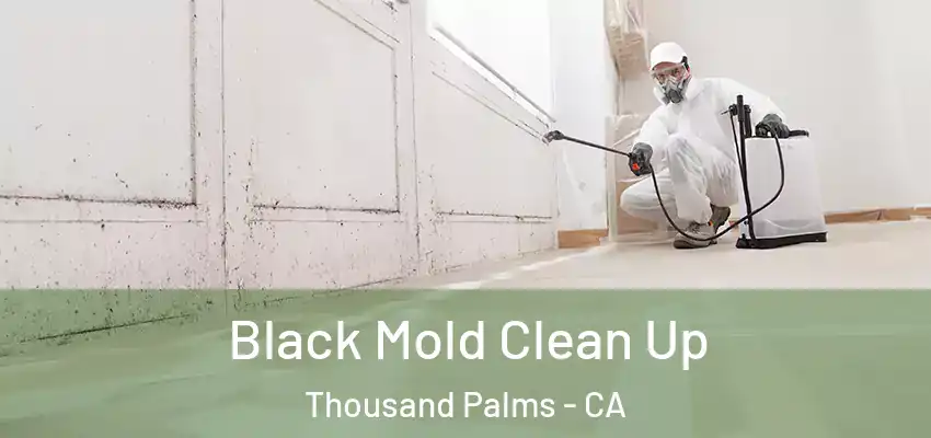  Black Mold Clean Up Thousand Palms - CA