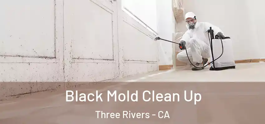  Black Mold Clean Up Three Rivers - CA