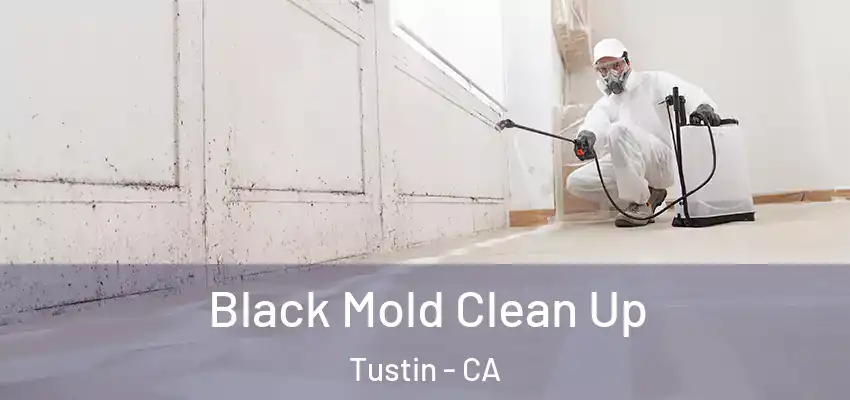  Black Mold Clean Up Tustin - CA