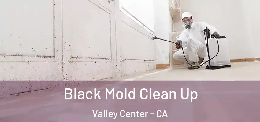  Black Mold Clean Up Valley Center - CA