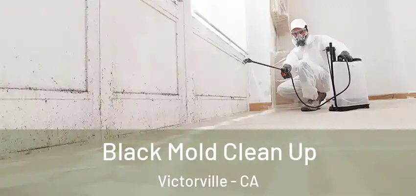  Black Mold Clean Up Victorville - CA