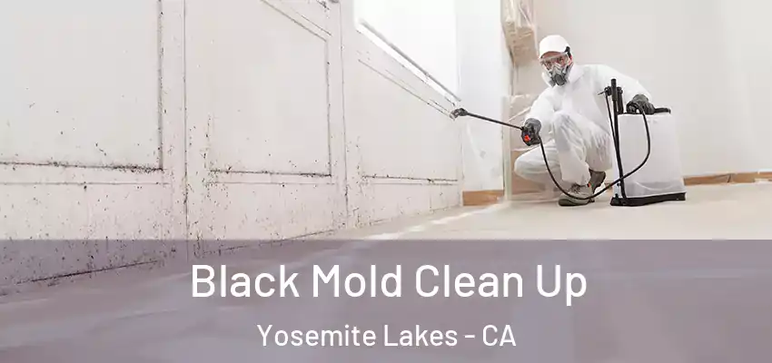  Black Mold Clean Up Yosemite Lakes - CA