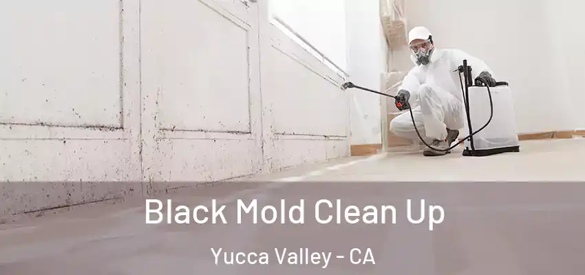  Black Mold Clean Up Yucca Valley - CA