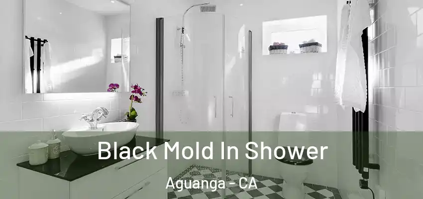  Black Mold In Shower Aguanga - CA