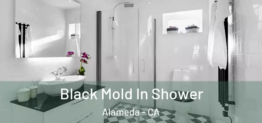  Black Mold In Shower Alameda - CA