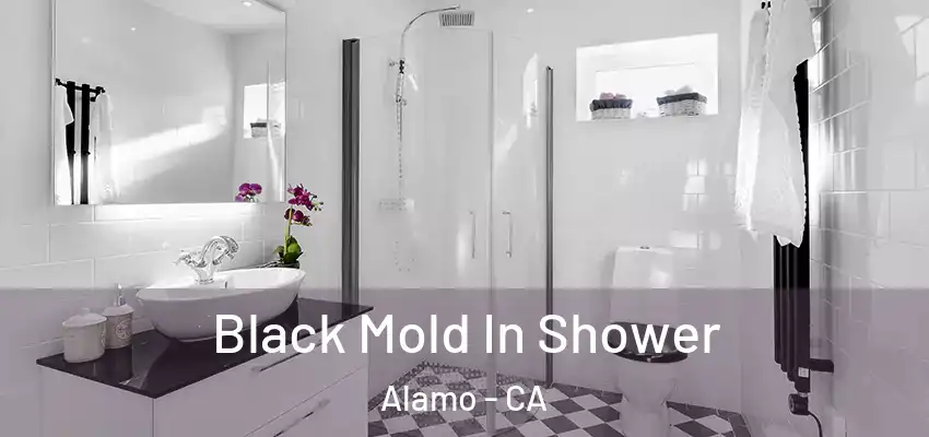 Black Mold In Shower Alamo - CA