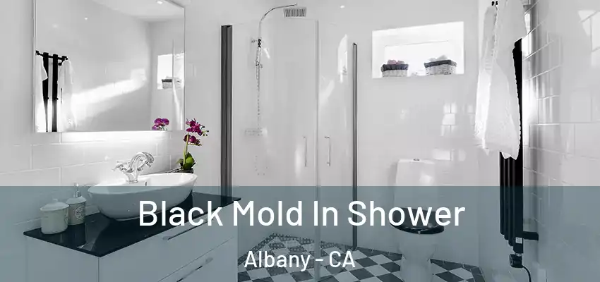  Black Mold In Shower Albany - CA