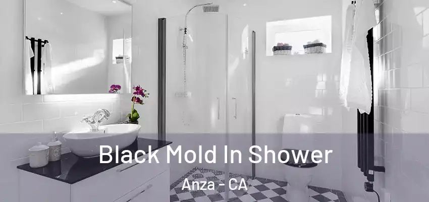  Black Mold In Shower Anza - CA