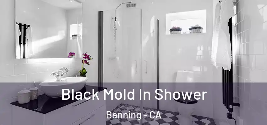 Black Mold In Shower Banning - CA