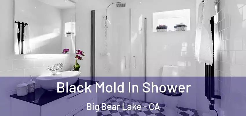 Black Mold In Shower Big Bear Lake - CA