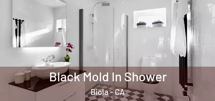  Black Mold In Shower Biola - CA