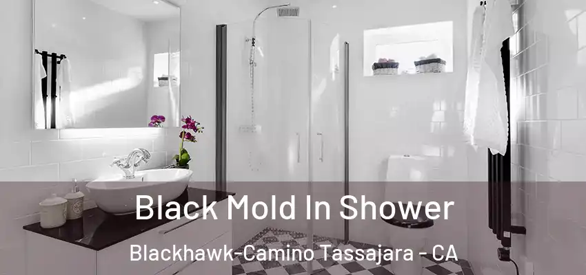 Black Mold In Shower Blackhawk-Camino Tassajara - CA