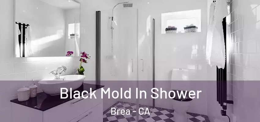 Black Mold In Shower Brea - CA