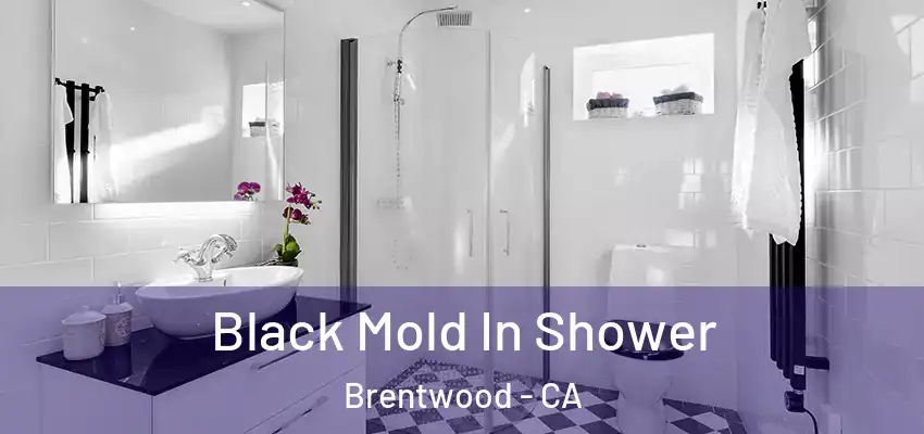  Black Mold In Shower Brentwood - CA