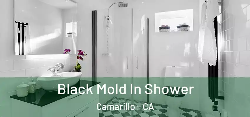  Black Mold In Shower Camarillo - CA
