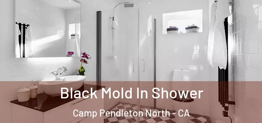  Black Mold In Shower Camp Pendleton North - CA